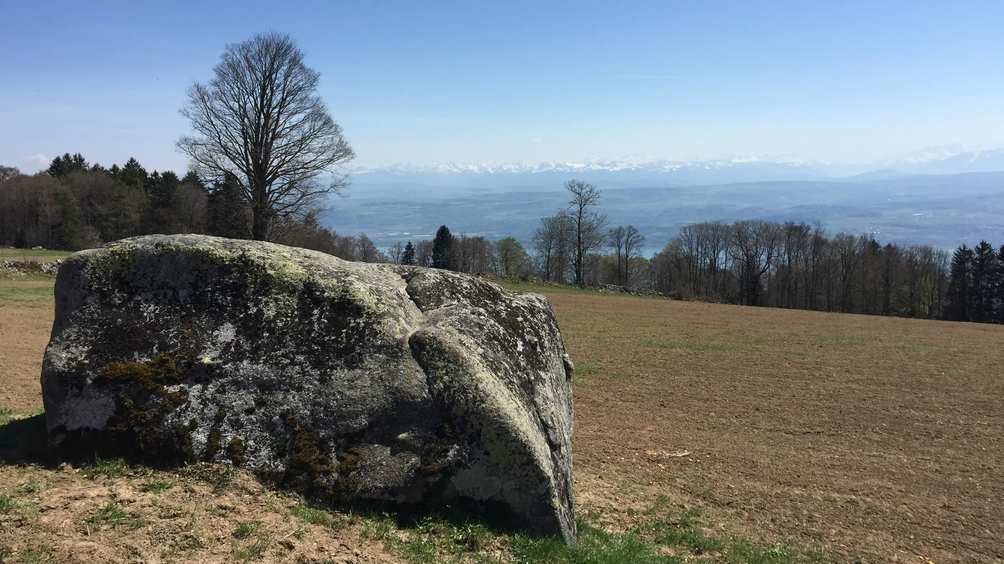 Granitfindling im Jura