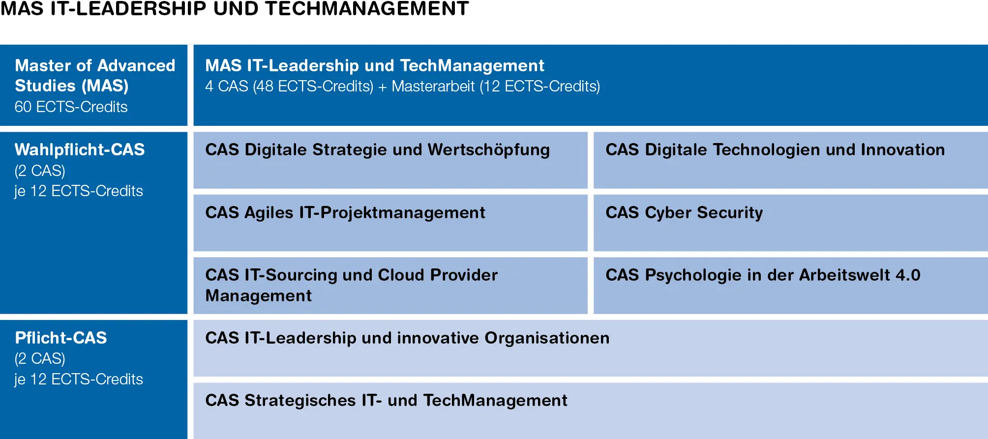 Grafik zum Aufbau des IT-Leadership & TechManagement