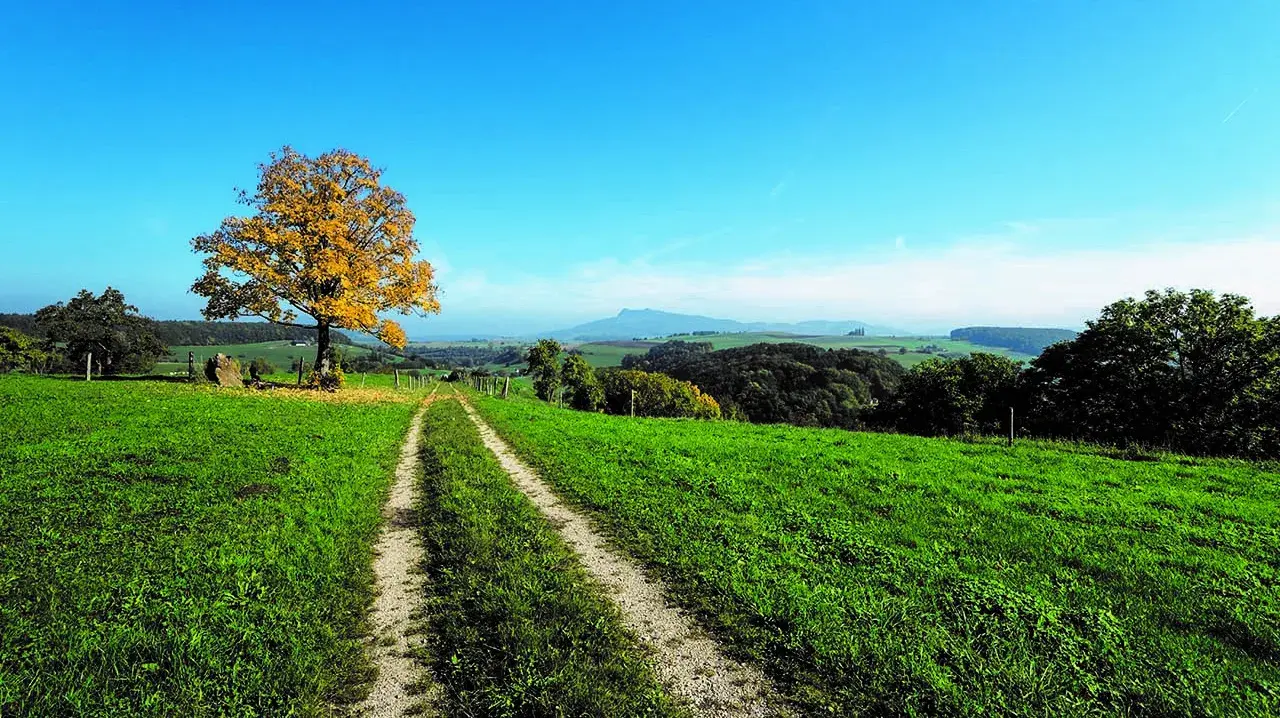 Foto Landschaft im Regionalen Naturpark Schaffhausen. Bild: Renato Bagattini