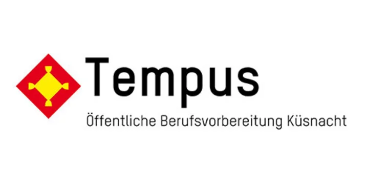 Logo Tempus Küsnacht – zur Webseite