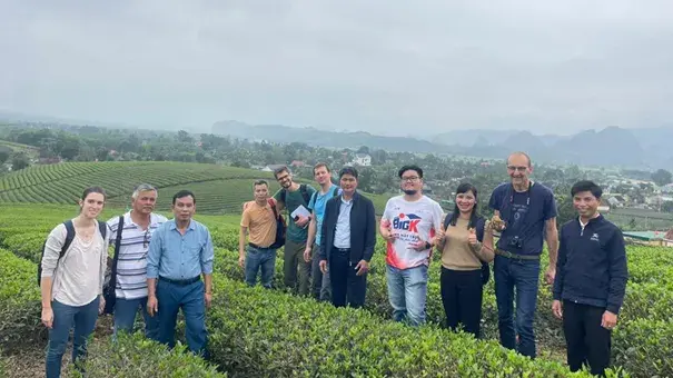 Tea plantation on Monte Verità TI