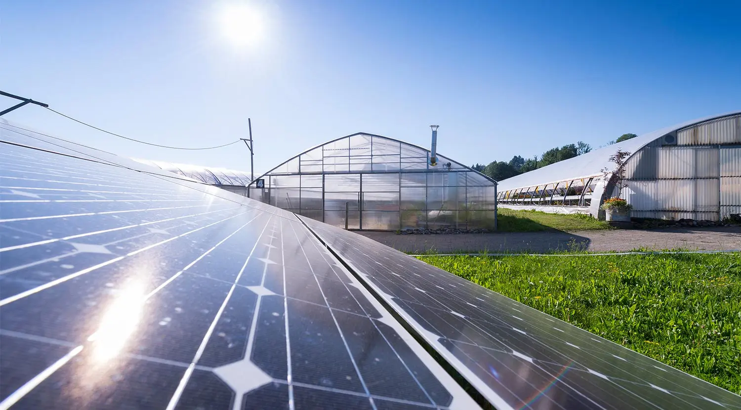 Solwing photovoltaic panels on the greenhouses