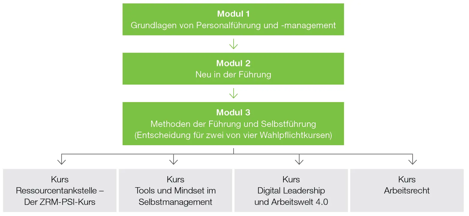 Grafik Vertiefung und Module