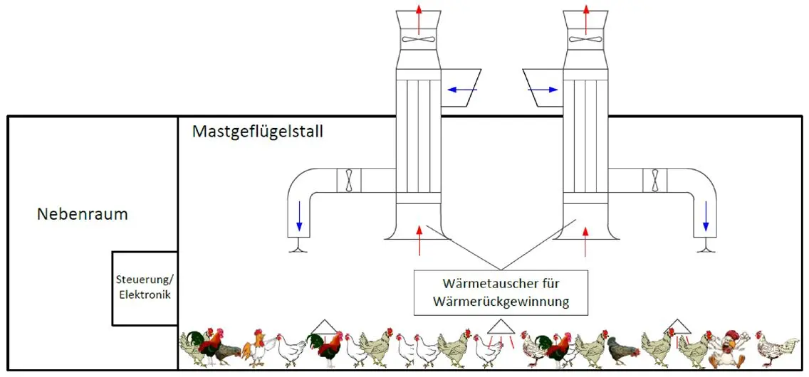 Construction of a poultry house with a heat recovery system