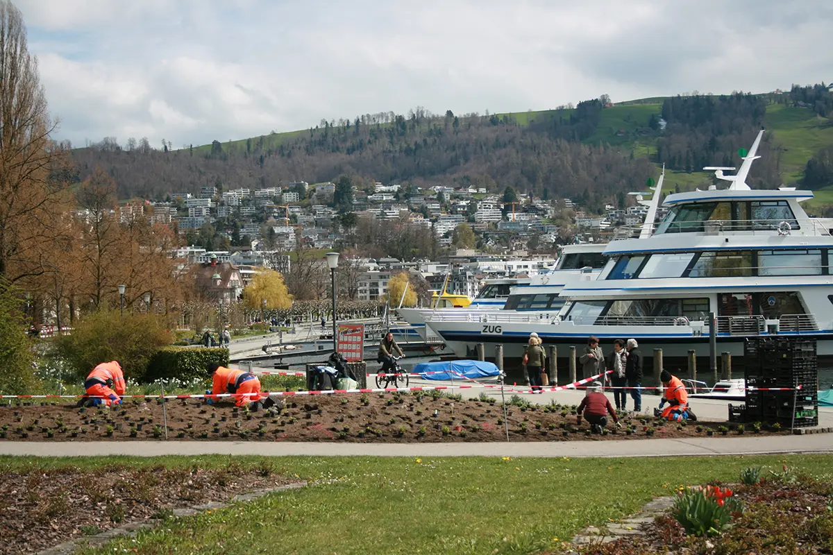 Die Fläche am Zugersee, Bild: Doris Tausendpfund 