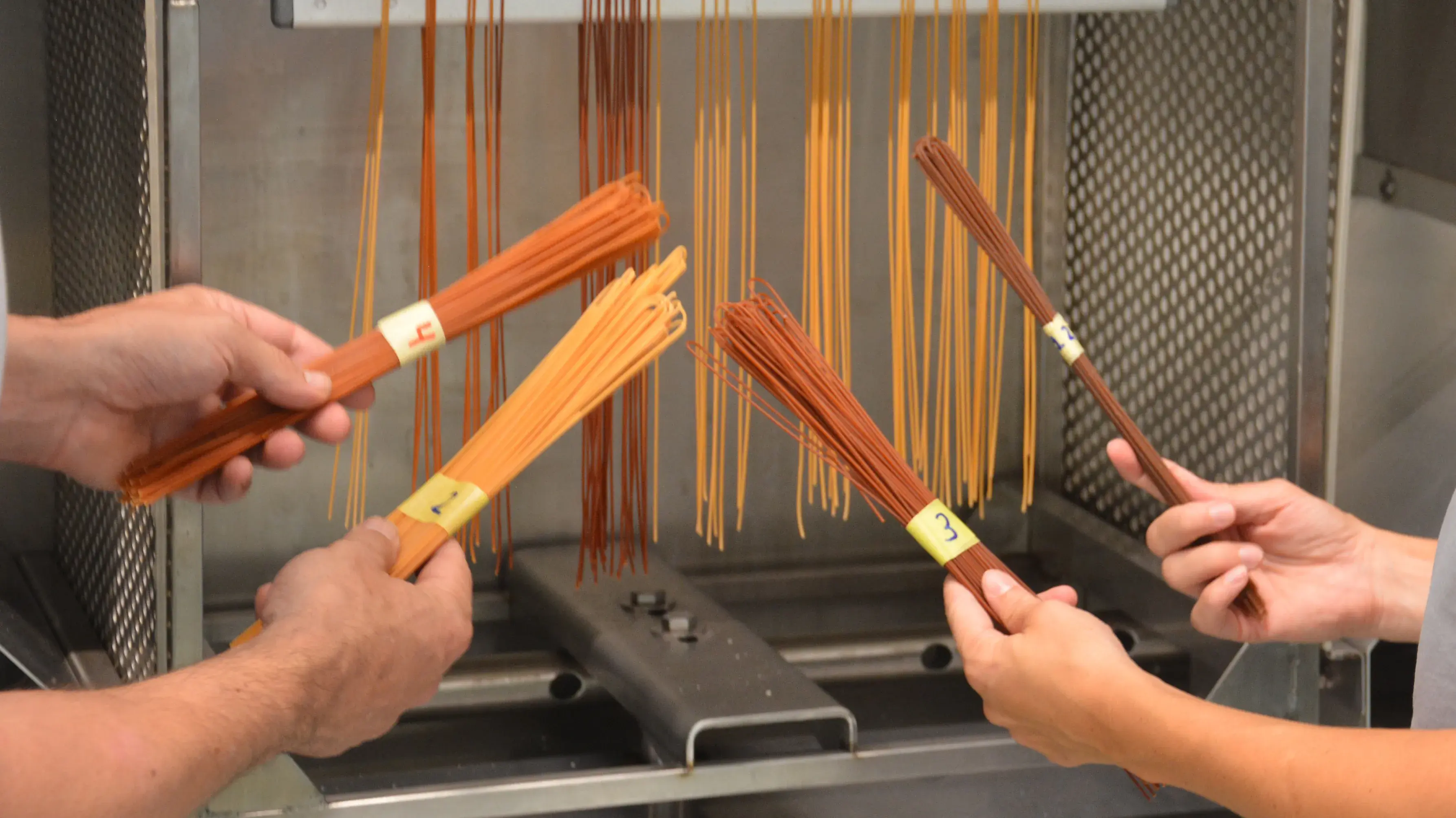 Wheat bran pasta