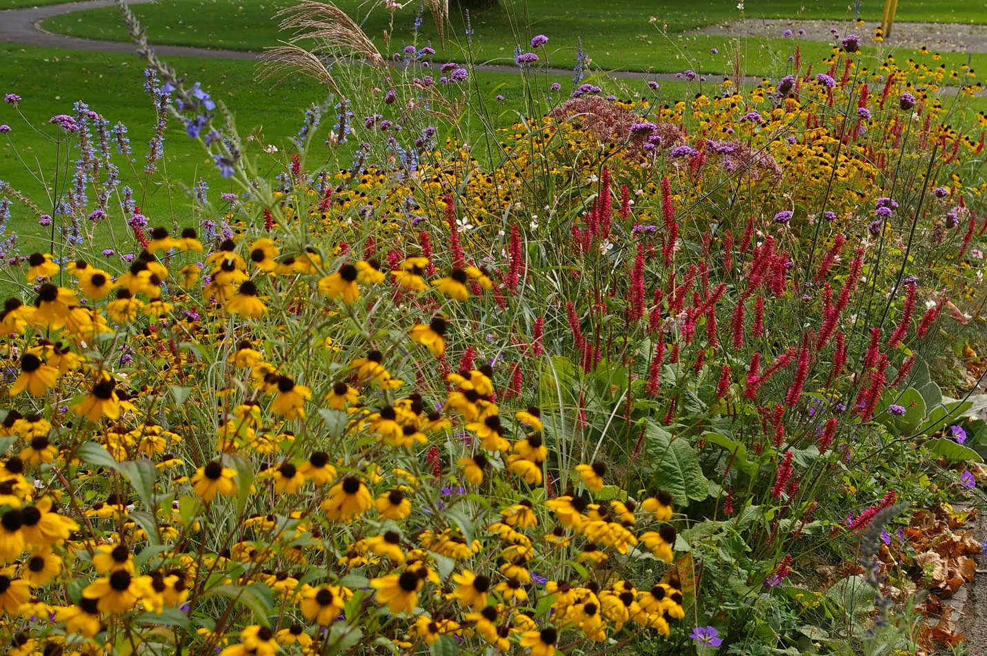 ZHAW-Wissenschaftler erhält Gartenbuchpreis für Fachbuch über Staudenmischpflanzungen