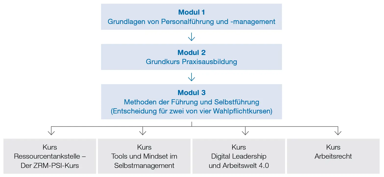 Grafik Vertiefung und Module