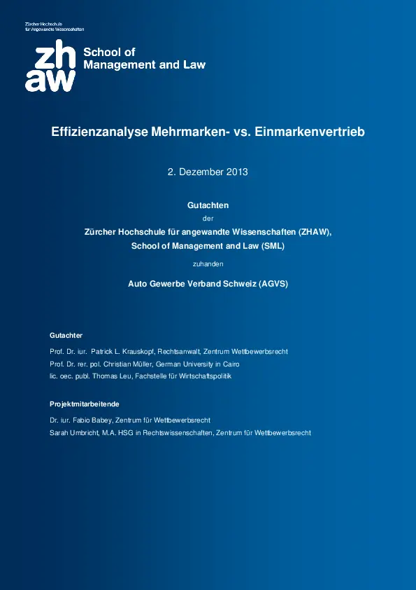 Bild Gutachten Effizienzanalyse Mehrmarken- vs. Einmarkenvertrieb