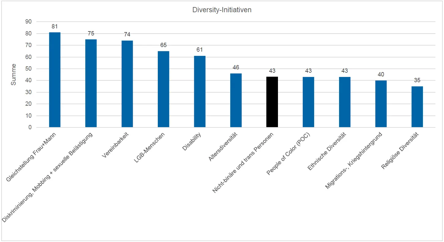 Abbildung Diversity Initiativen im Vergleich