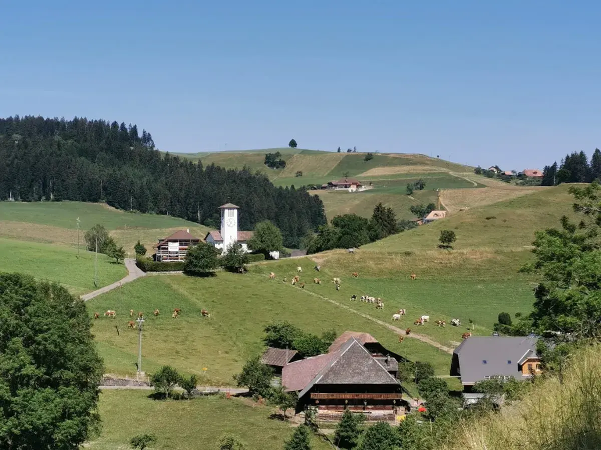 Aussicht vom ProSpeciaRara-Hof von Lena's Onkel in Landiswil (Foto: Lena Marti)