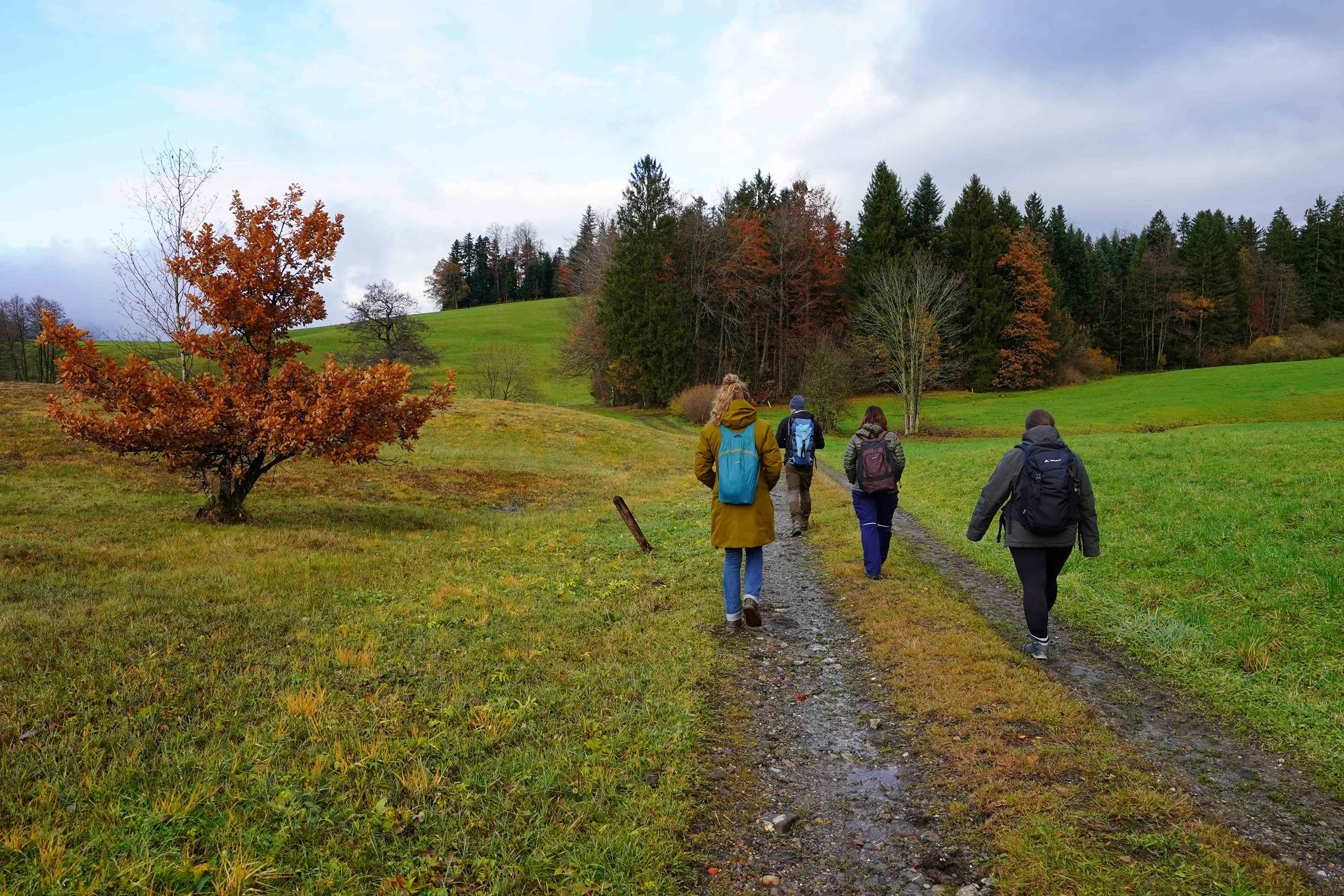 Abb. 2 Am zweiten Tag wurde der Naturpark Nagelfluhkette besucht (Foto: Dominik Feusi)