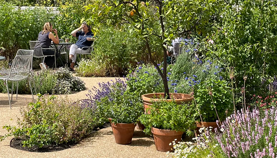 Gestalteter Garten mit Sitzgelegenheit