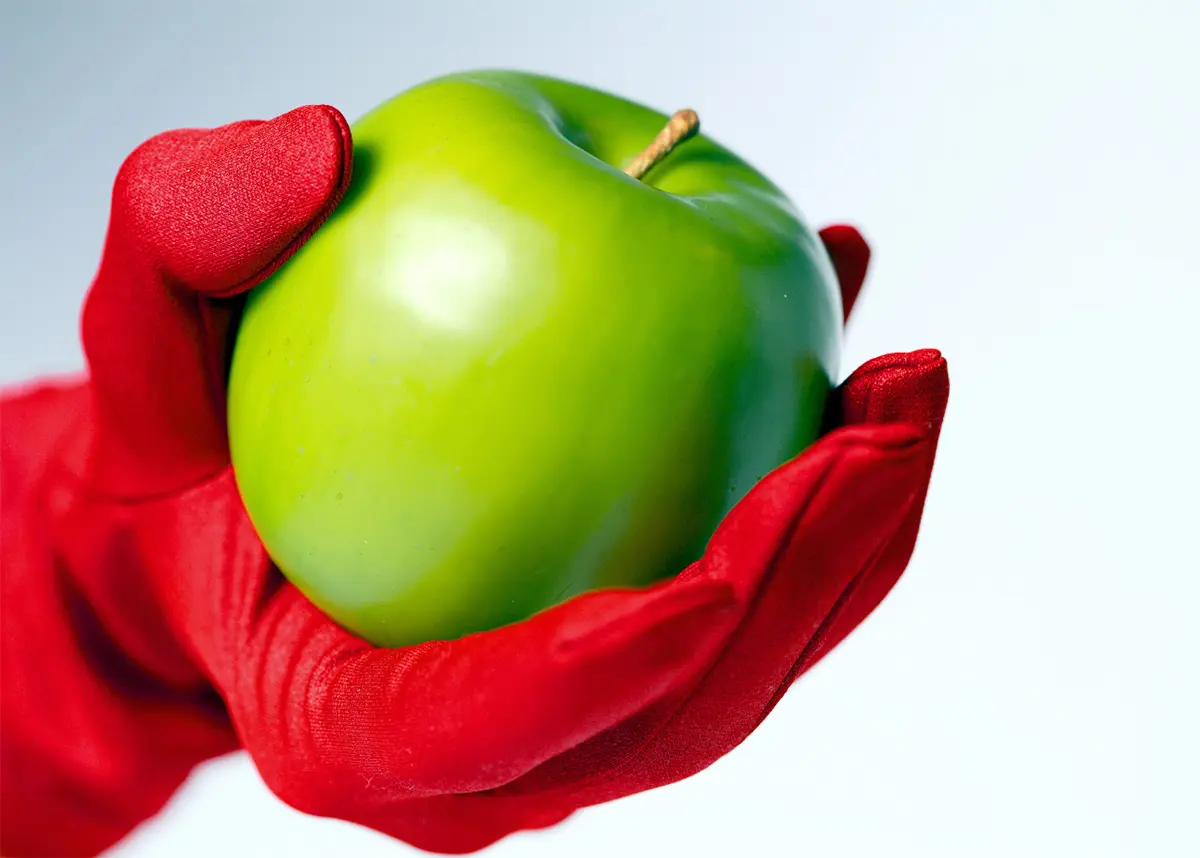 Erste DAS-Diplome für Weiterbildung „Excellence in Food“