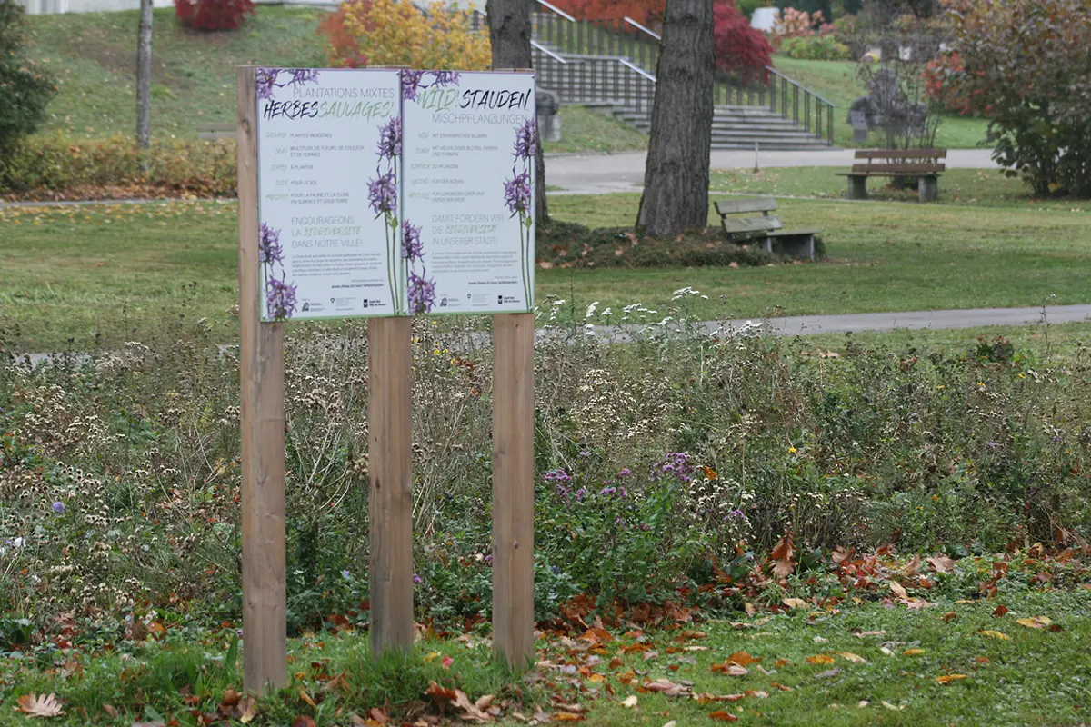 Die Fläche im Friedhof Madretsch in Biel, hier stehen die Wildstauden noch, Bild: Doris Tausendpfund