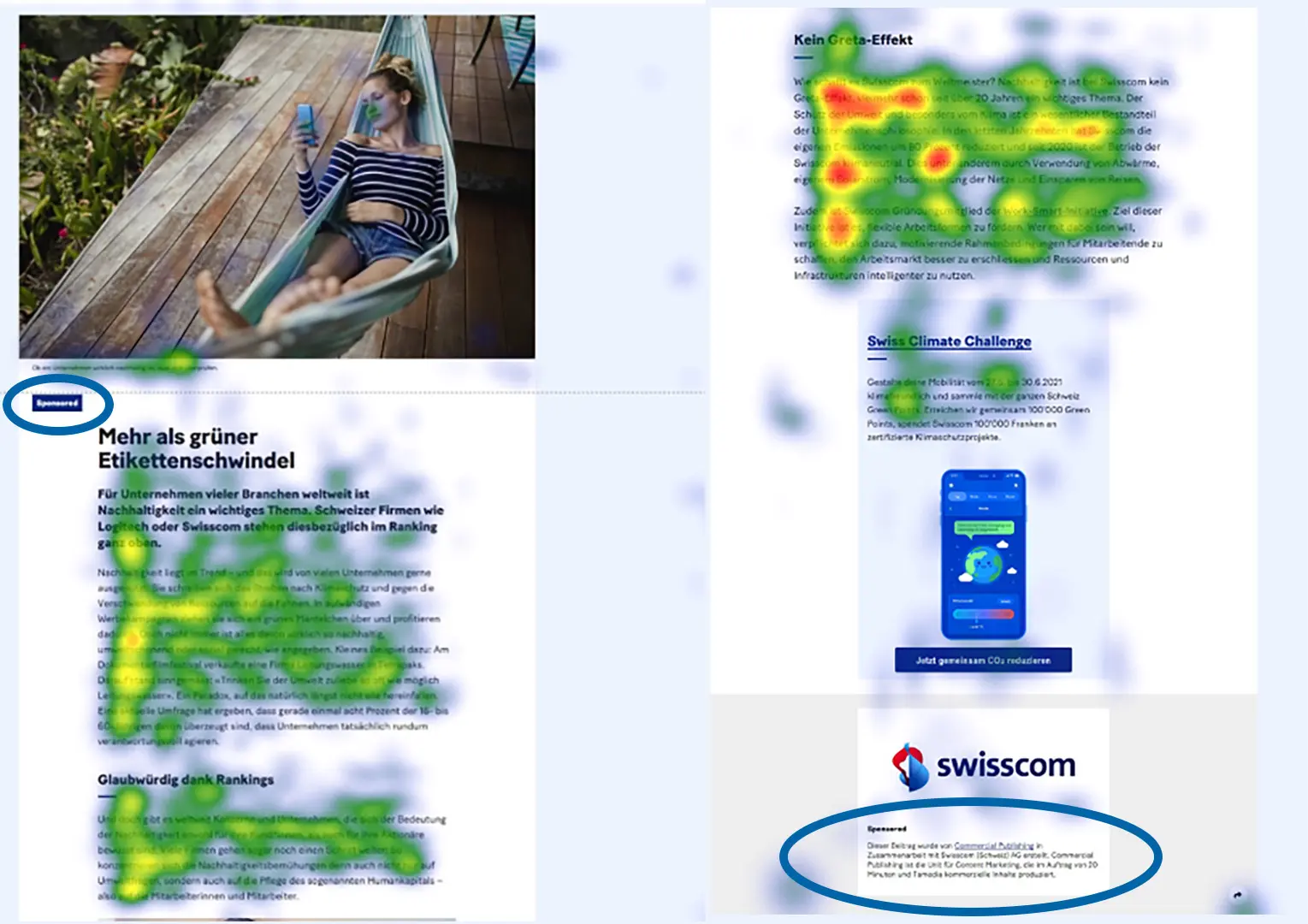 Example eye-tracking experiment