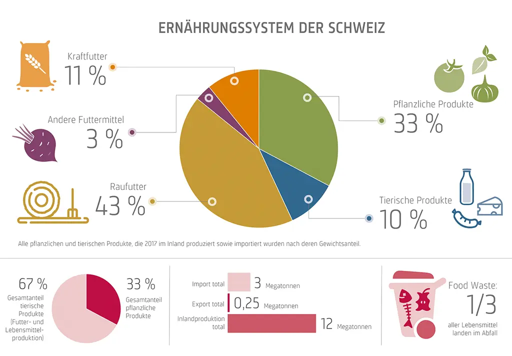 Eine Grafik, die zeigt, dass in der Schweiz viel Futtermittel produziert, viel tierische Nahrungsmittel konsumiert und ca. 1/3 der Nahrungsmittel weggeworfen werden.