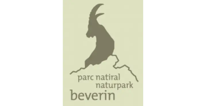 zu unserer Partner Webseite