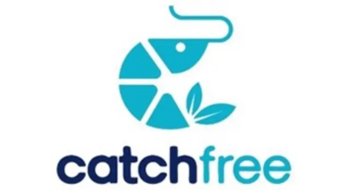 zur Webseite catchfree