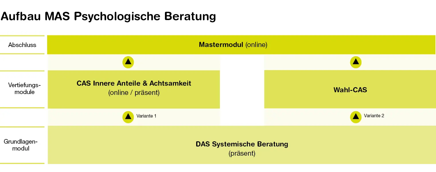 Aufbau des MAS Psychologische Beratung