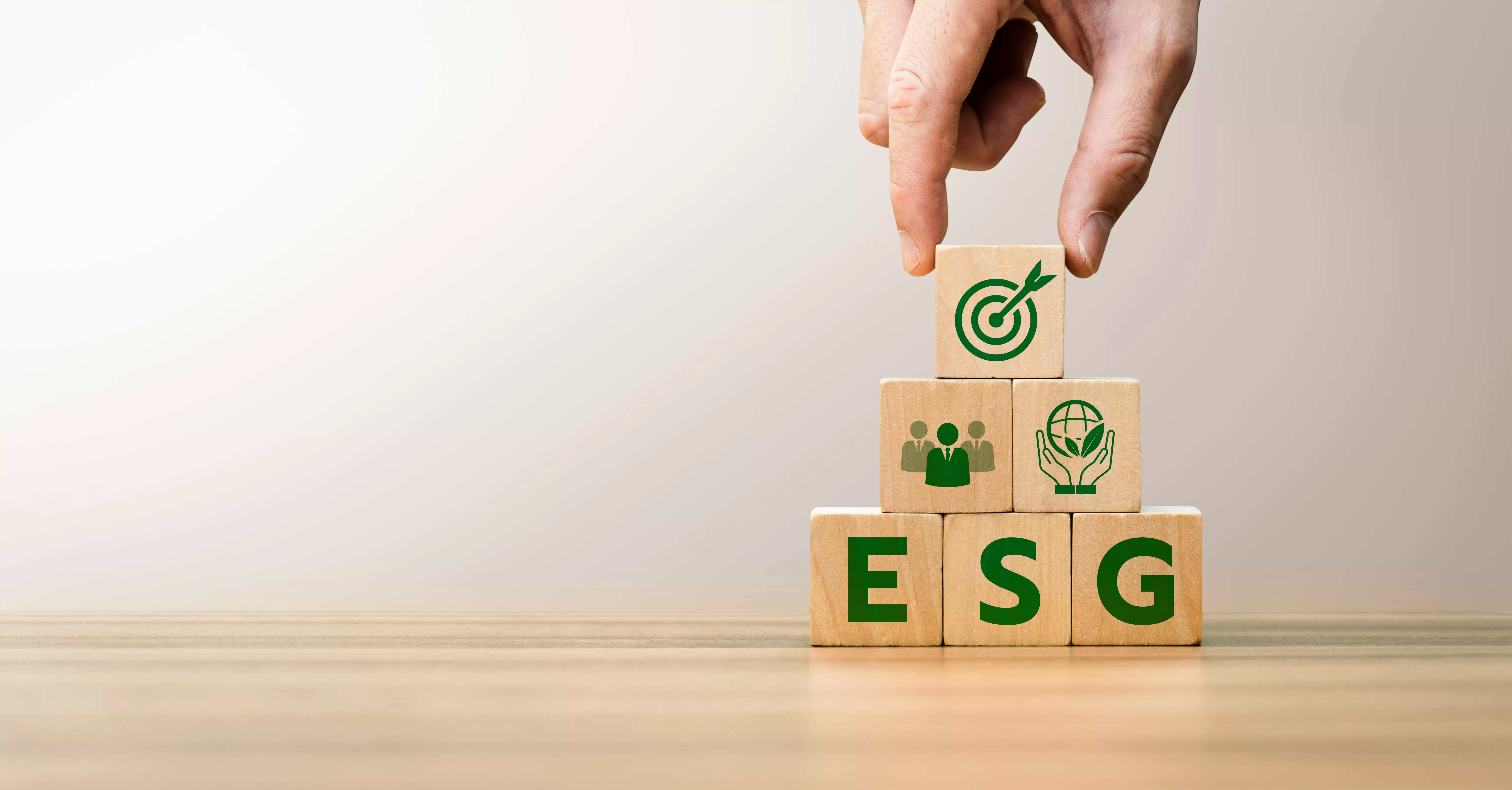 ESG Goals, Nurturing Environment, Empowering Society, Upholding Governance for Sustainable Development, Responsible Corporate Citizenship, and Long-Term Value Creation, social business strategy