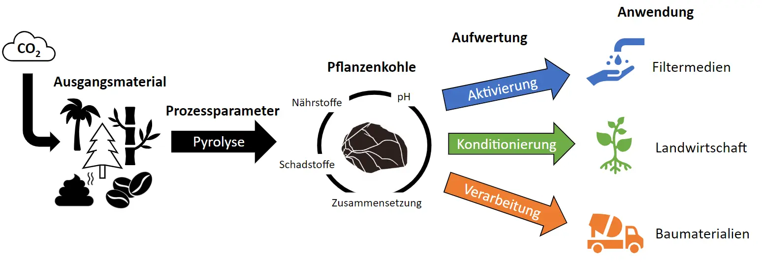 Pflanzenkohle Schema