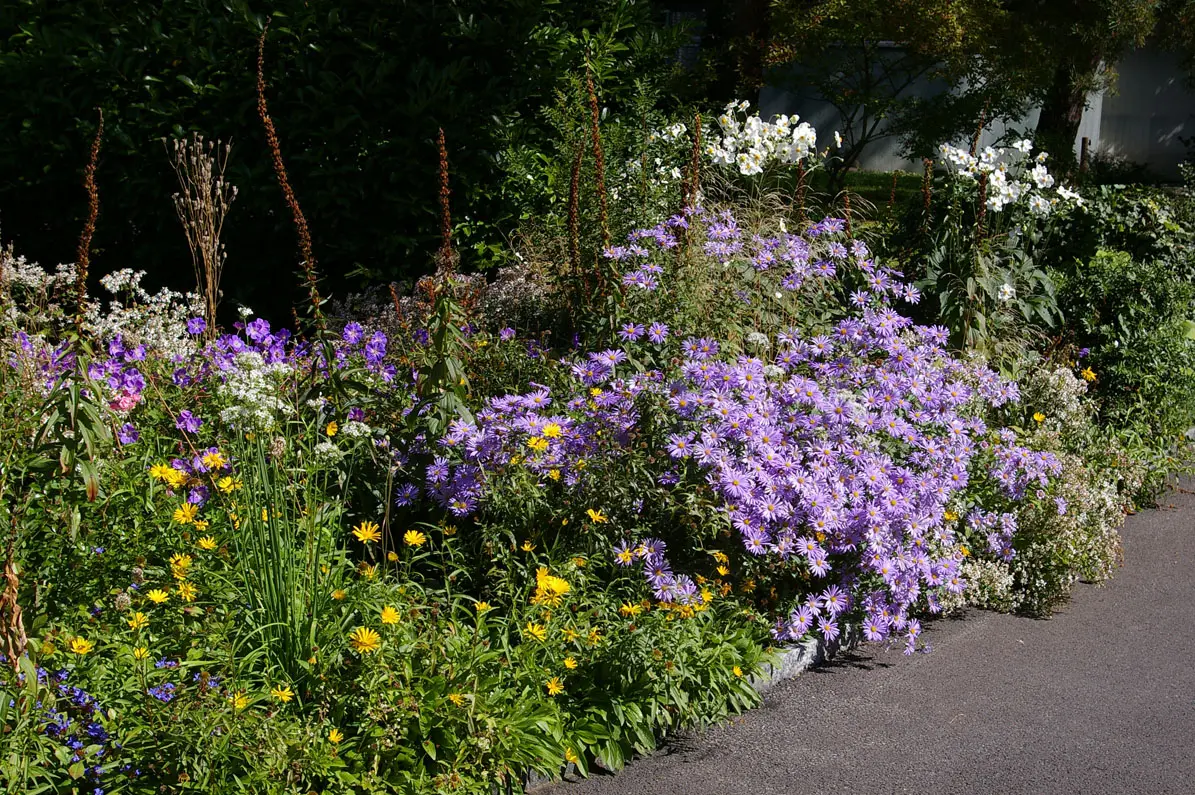 ZHAW-Wissenschaftler erhält Gartenbuchpreis für Fachbuch über Staudenmischpflanzungen