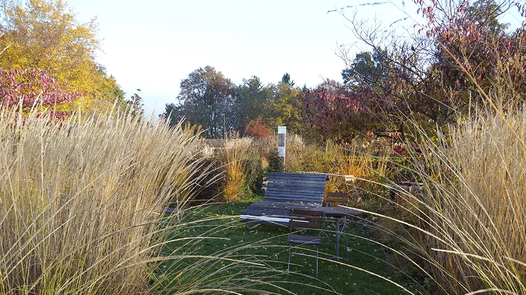 View through the grass garden