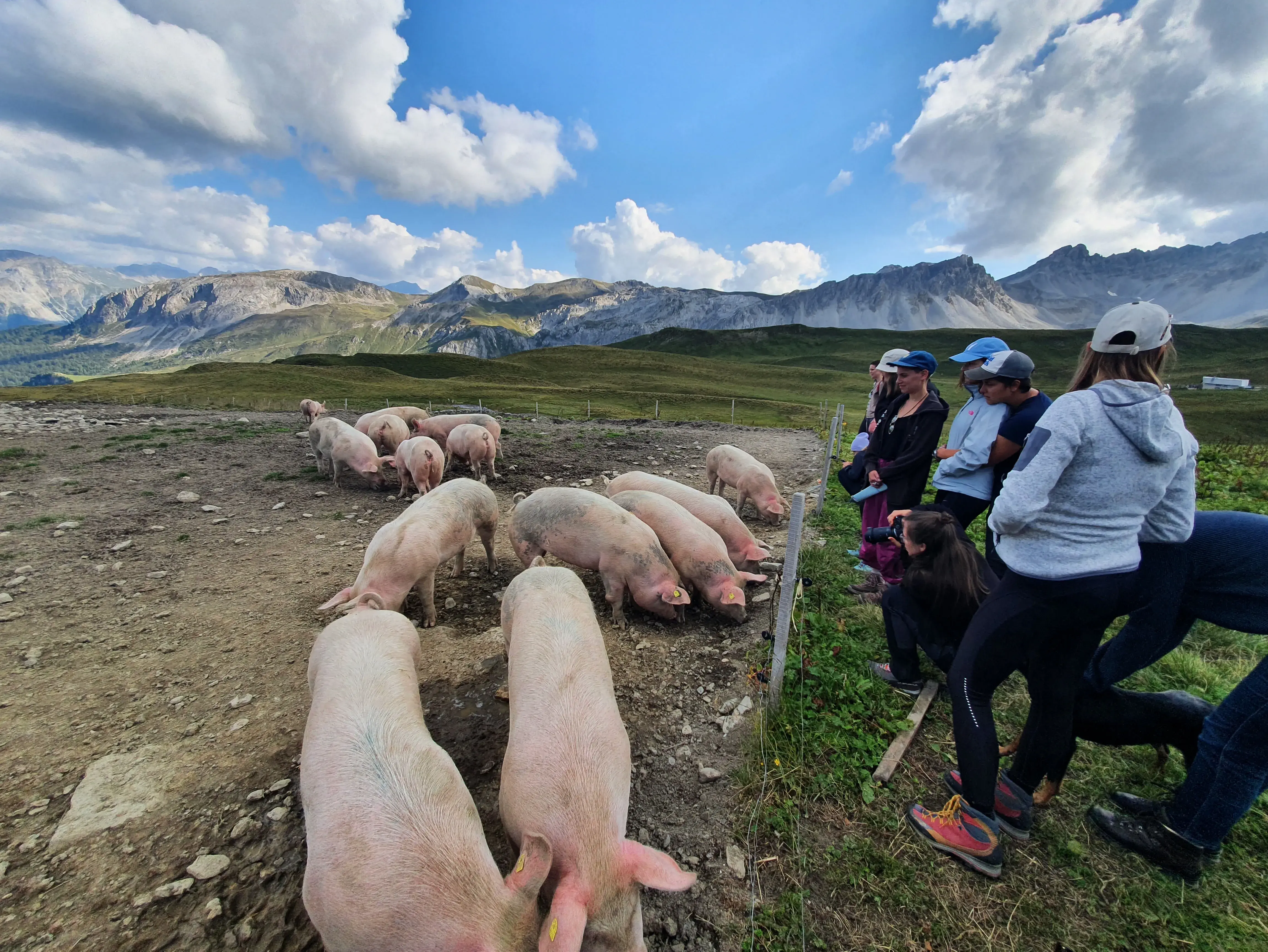 Exkursion auf der Alp Curtginatsch.