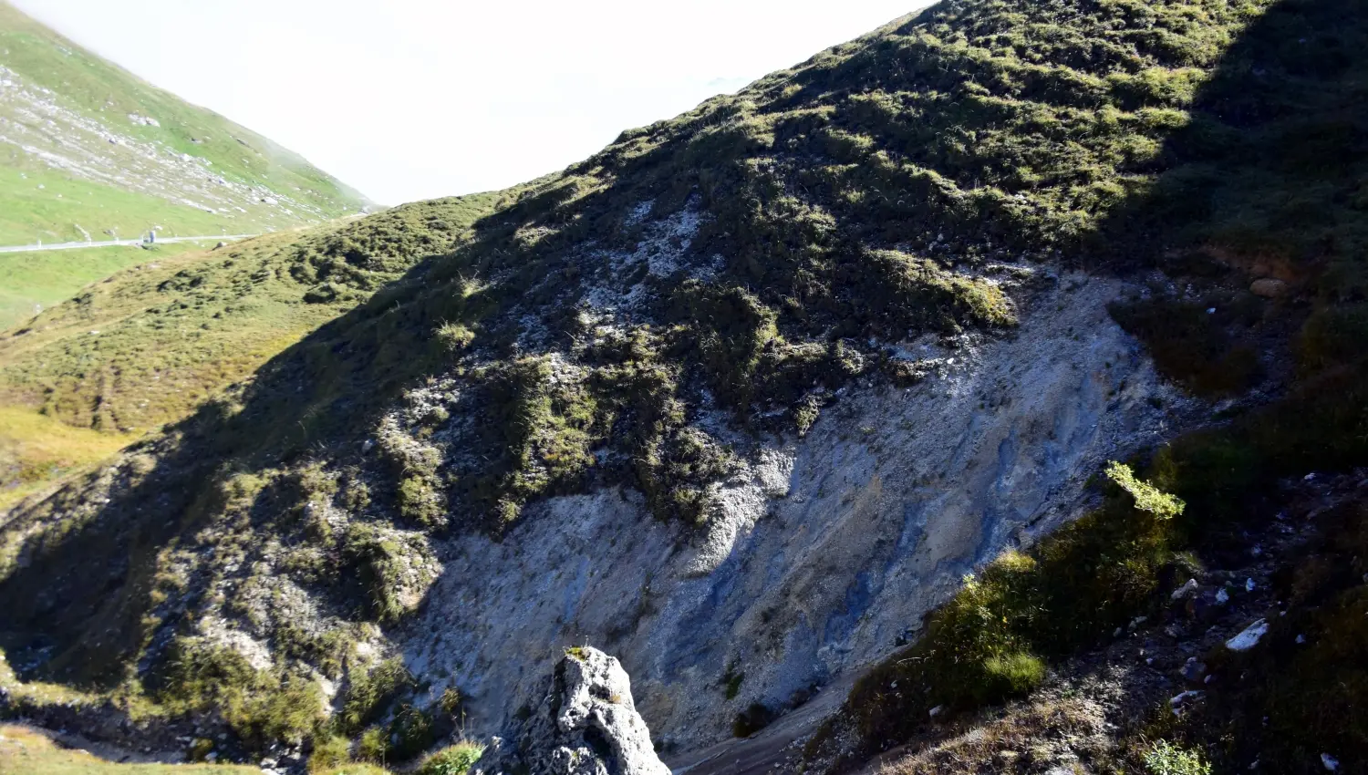 Viehgangeln und Erosionsschaden auf einer Alp im Kanton Uri (Credit: Dr. Luzius Matile ZHAW)